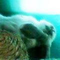 c0057776_18561066.jpg