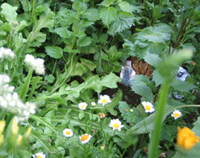 a0009397_21464154.gif