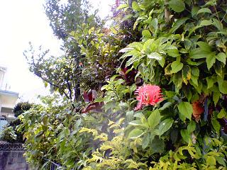 d0017310_14309.jpg