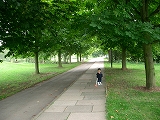 b0060111_633559.jpg