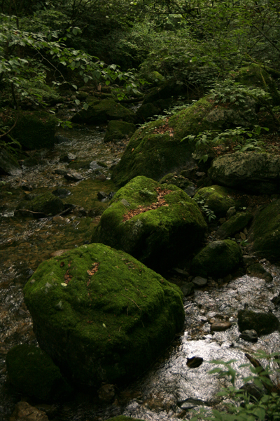 b0063234_23254265.jpg