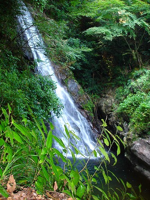 d0055236_06108.jpg
