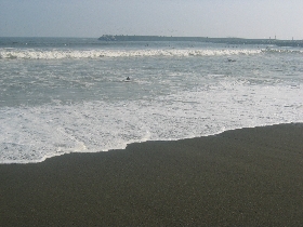 c0048160_15245.jpg
