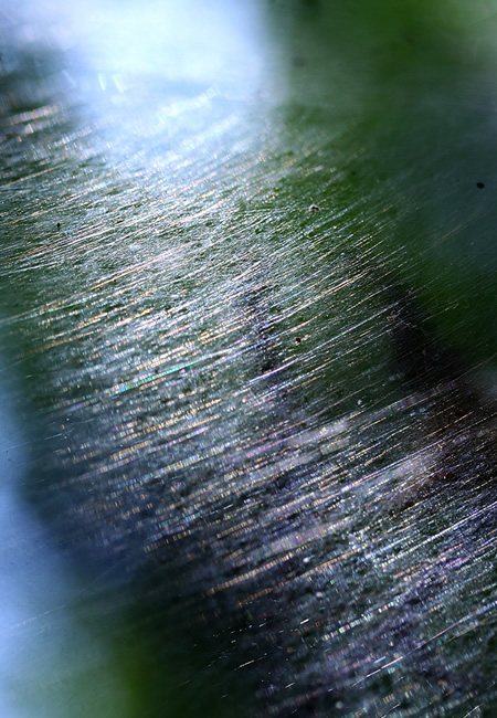 b0063234_22343153.jpg