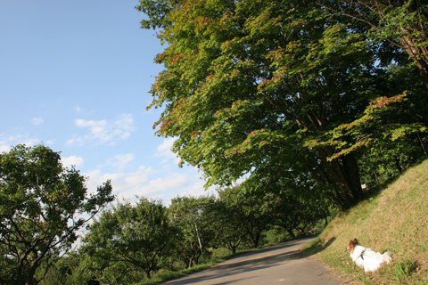 b0066154_21434889.jpg