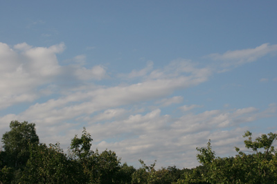 b0066154_21442256.jpg