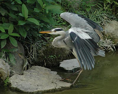 e0035757_22365860.jpg