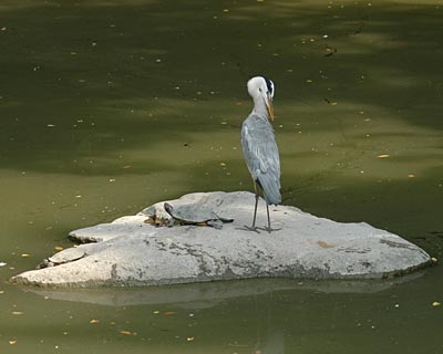 e0035757_22402031.jpg