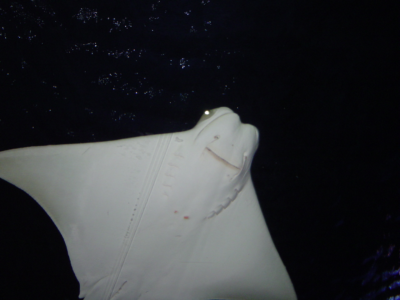 e0025267_22393771.jpg