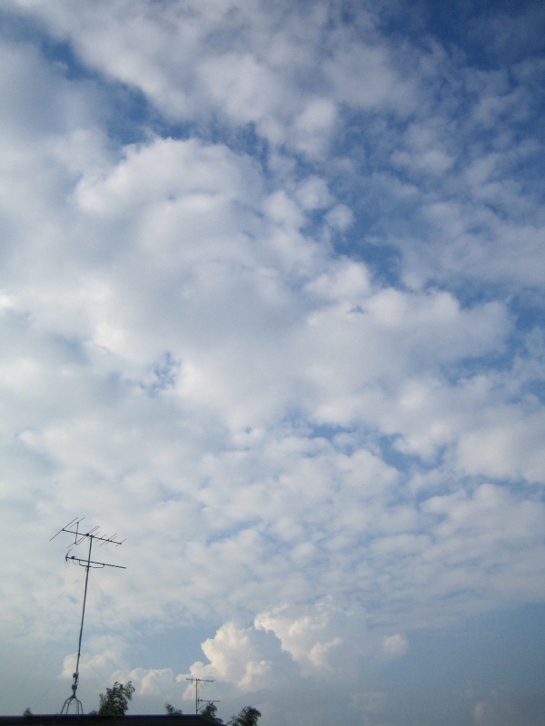 c0070968_23184837.jpg