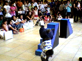 a0023695_2152877.jpg