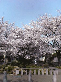e0041699_20364230.jpg