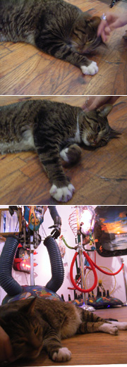 猫の住むギャラリー Fusion Arts Museum_b0007805_1171796.jpg