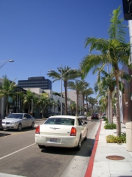 Rodeo Driveにクラクラッ！_e0050523_15111694.jpg