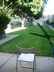 e0050523_1624956.jpg