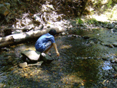 d0010449_9281222.gif