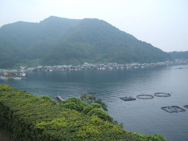 b0027885_21591582.jpg