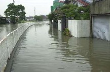 集中豪雨！_c0031794_0312532.jpg