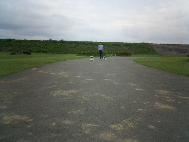 e0050801_22276.jpg