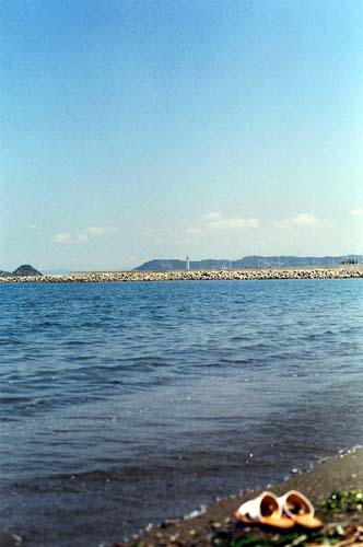 05’夏フォト=その３=_d0040418_15335948.jpg