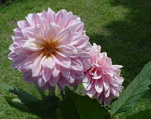 b0017645_22283554.jpg