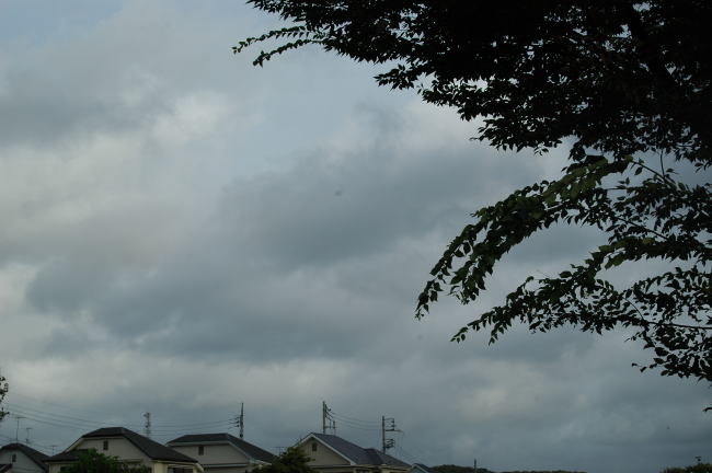 台風14号は日本海に！_c0015546_21183237.jpg