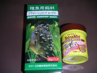 a0018200_13142946.jpg