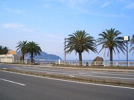 d0068229_1793480.jpg