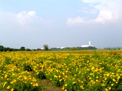 b0024266_2174678.jpg