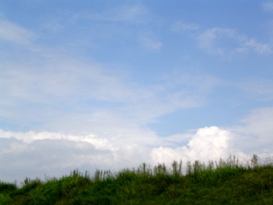 b0024266_2240466.jpg