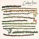 Cocteau Twins  ／ Twinlights (1995)_e0038994_2040054.jpg