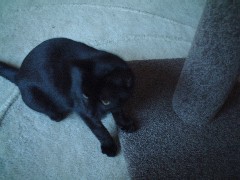 c0053898_21544784.jpg