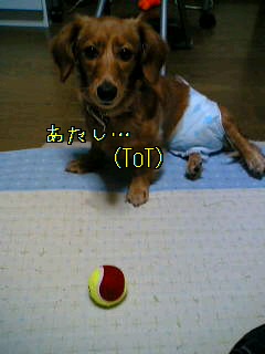 d0046905_20494410.jpg