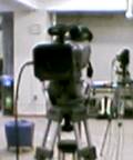 b0009821_25884.jpg