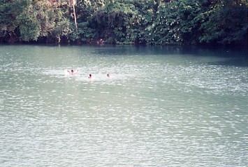 ポカラのペワタール湖で静かな水遊び_c0011649_9273786.jpg