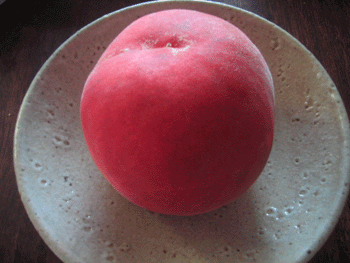 c0002860_13541366.gif