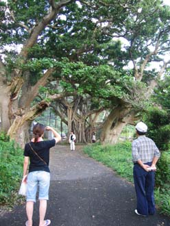 秋徳の八月踊り_e0028387_2237442.jpg