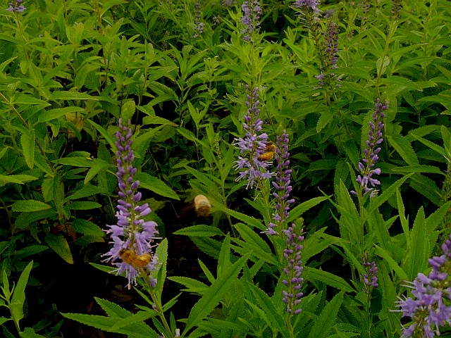c0003723_2132188.jpg