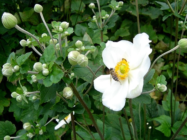 c0003723_21343934.jpg