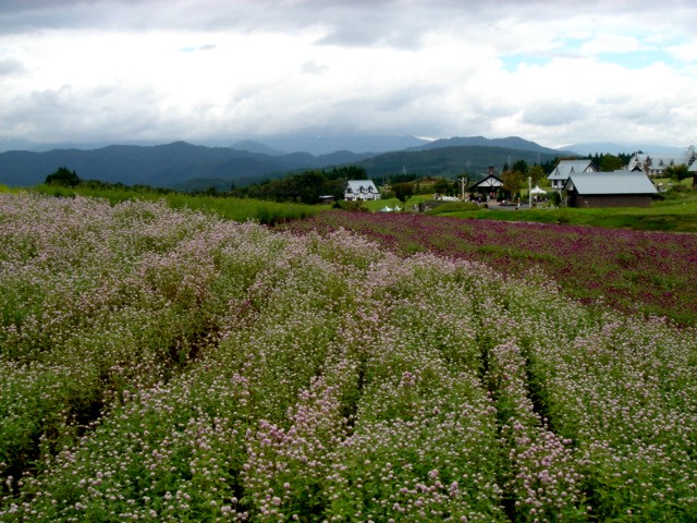 c0003723_2138368.jpg
