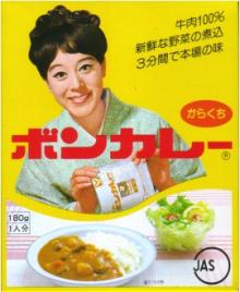 松坂慶子&松山容子ボンカレー_b0054727_125513.jpg