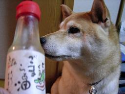 今度のバトンは。。。_c0049950_22273457.jpg