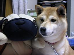 今度のバトンは。。。_c0049950_22323497.jpg