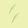 b0001286_215241100.gif