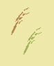 b0001286_22122098.gif