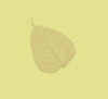 b0001286_22144314.gif
