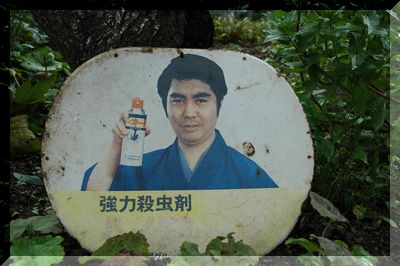 こんなもの見つけました。_c0051105_21524564.jpg