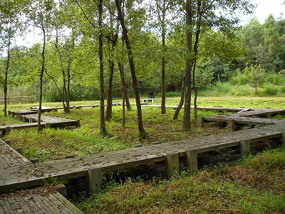 d0055236_223924.jpg