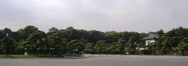 c0022340_6465858.jpg