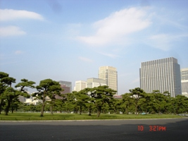 c0022340_6472829.jpg